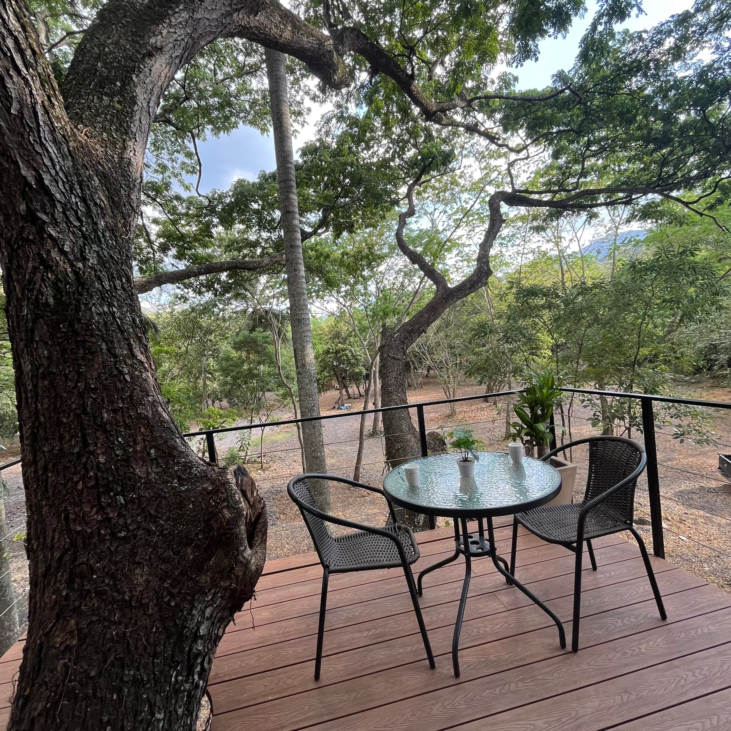 Adrenalina y paisajes