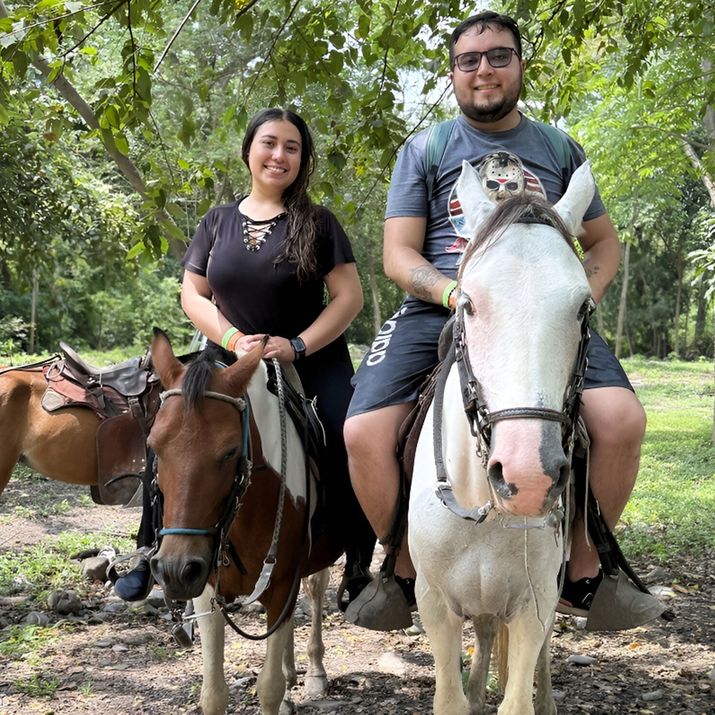 PLAN 4 / DOSIS EXTREMA